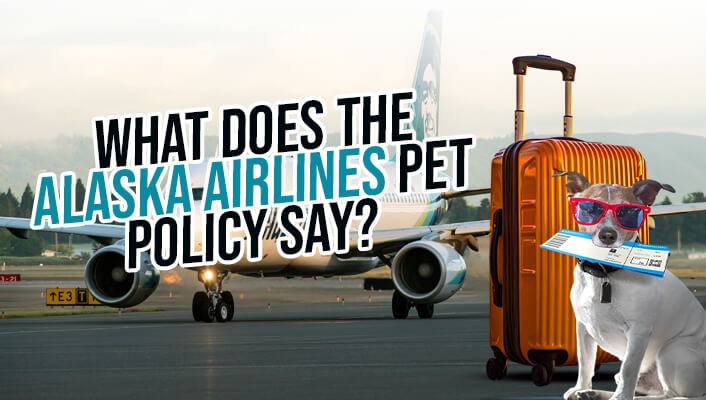 What Does the Alaska Airlines Pet Policy Say?